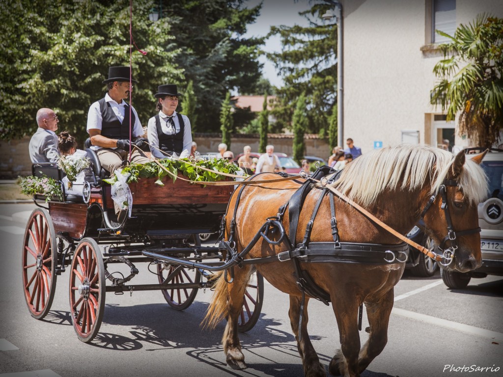 Réservez votre balade en calèche pour un mariage dans les Monts du Lyonnais